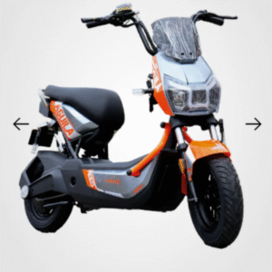 Bicicleta Eléctrica Águila