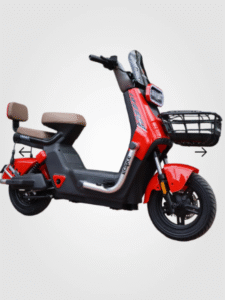 Bicicleta Eléctrica Rayo Pro